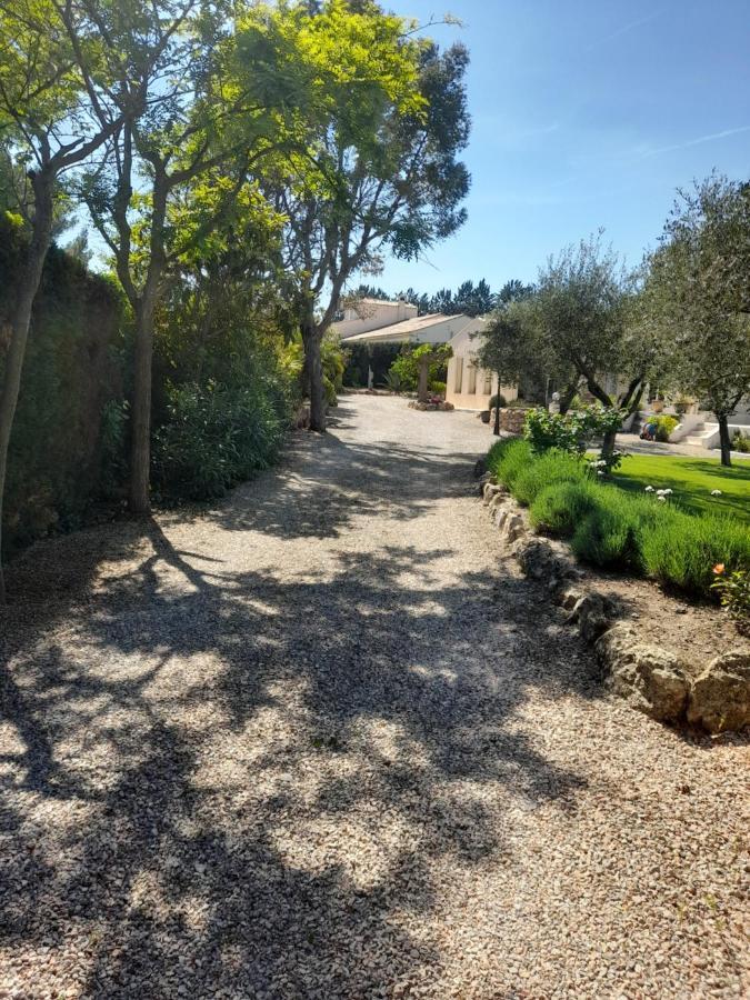 Gite Provencal Independant Avec Piscine Chauffee : Le Suy Bien Flayosc Zewnętrze zdjęcie