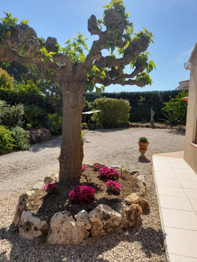 Gite Provencal Independant Avec Piscine Chauffee : Le Suy Bien Flayosc Zewnętrze zdjęcie